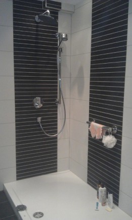 Dusche mit schwarzen Streifenwand