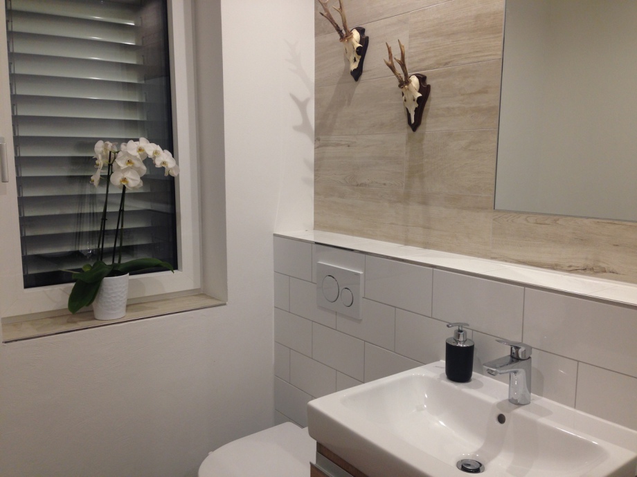 modernes kleines Badezimmer mit Hirschgeweihen an der Wand
